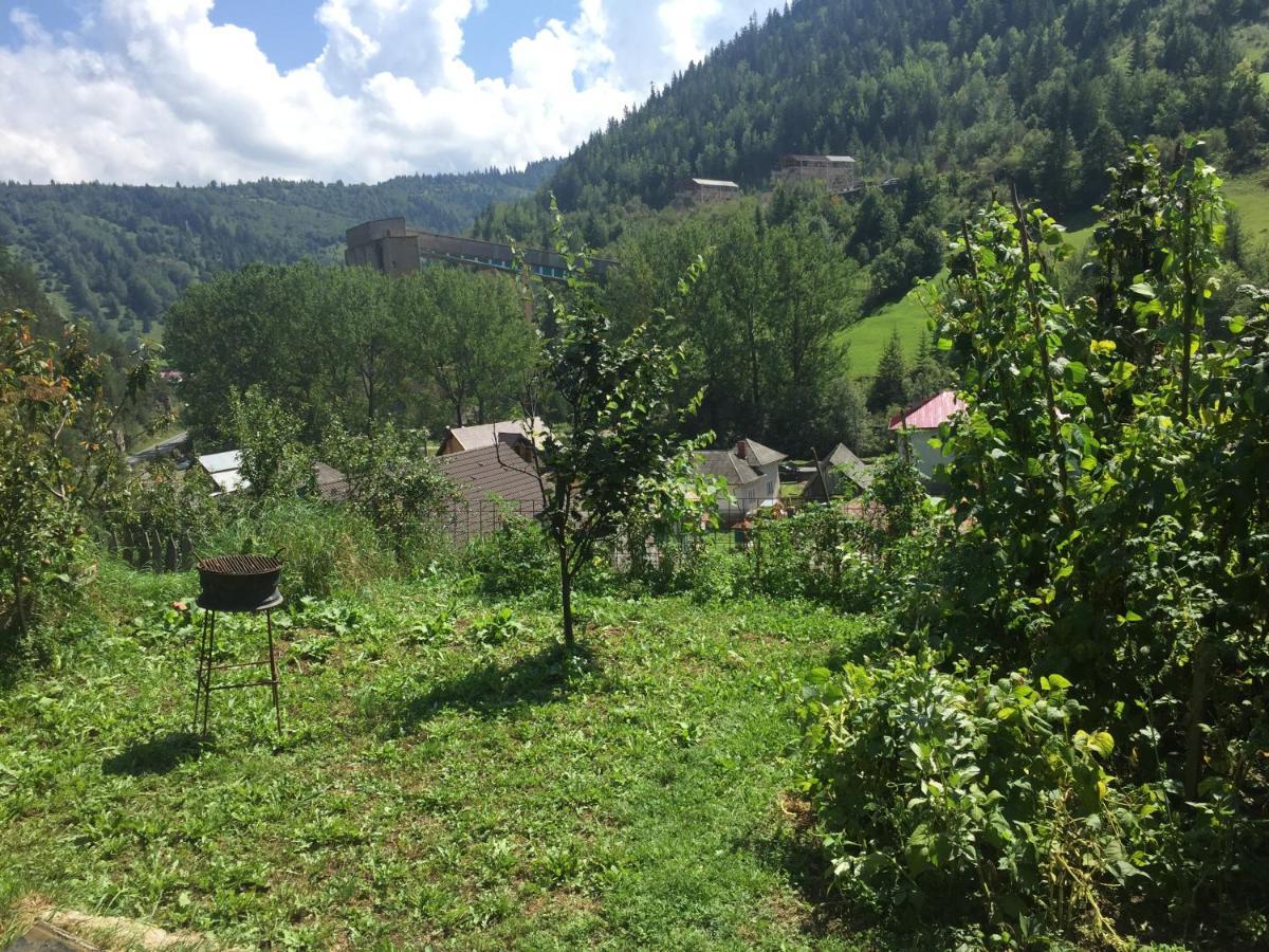 Acasa In Bicaz-chei - De Inchiriat Cheile Bicazului