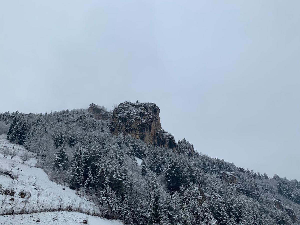 Acasa In Bicaz-chei - De Inchiriat Cheile Bicazului Privatunterkunft *
