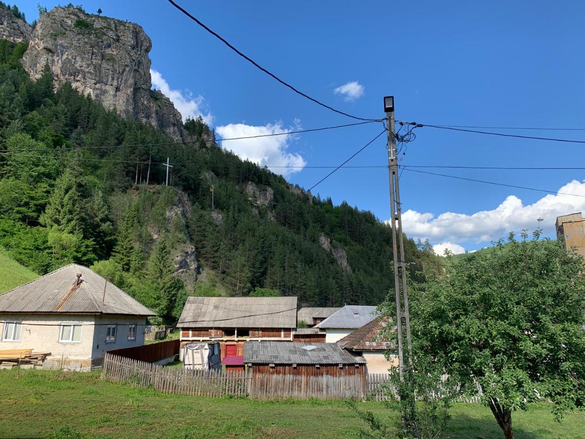 Privatunterkunft Acasa In Bicaz-chei - De Inchiriat Cheile Bicazului Bicaz-Chei